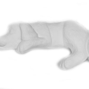 Hund över kant