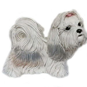 Stående Shih Tzu