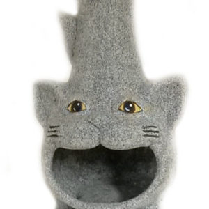 Spiskatt