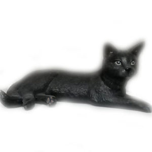 Liggande katt