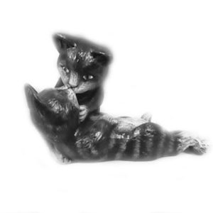 Pussande katt