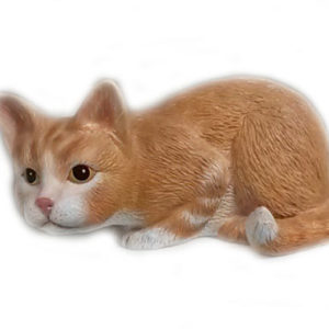Liggande katt
