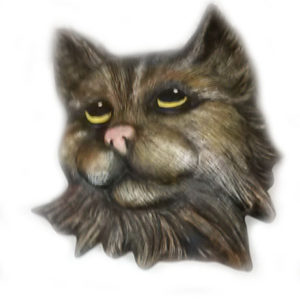 Kattansikte