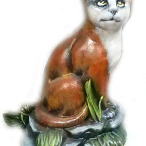 Katt sittande på sten