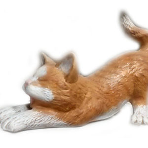 Katt som gäspar