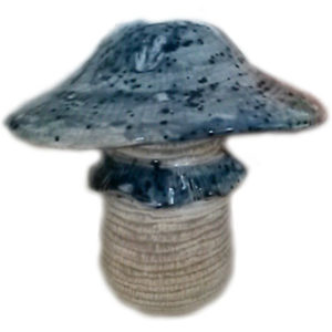 Svamp