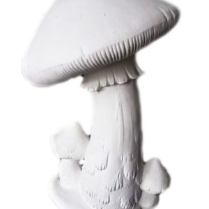 Svampar