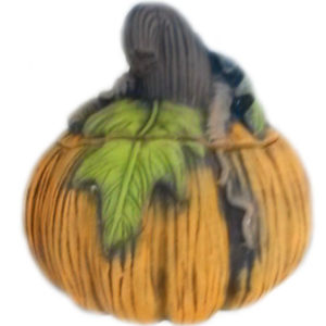 Pumpa med löv