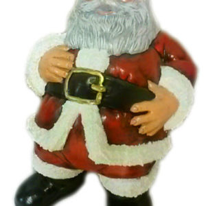 Tjock tomte