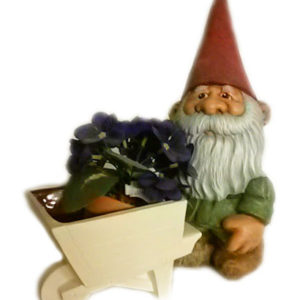 Tomte med skottkärra