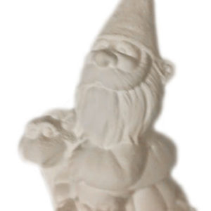 Tomte med skäldpadda